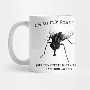 I'm so FLY right now Mug